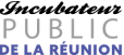 Logo incubateur régionnal de la Réunion